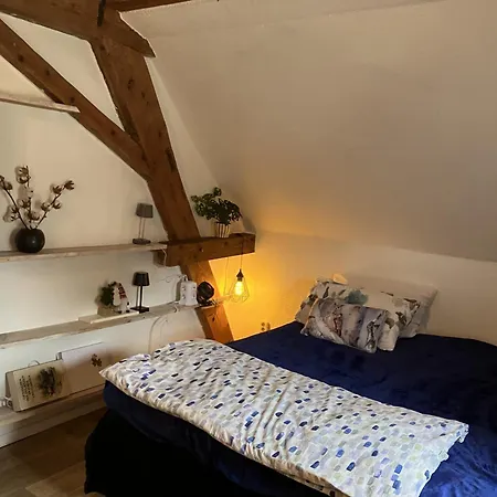 아파트 Ferienappartments Naehe Schweiz *